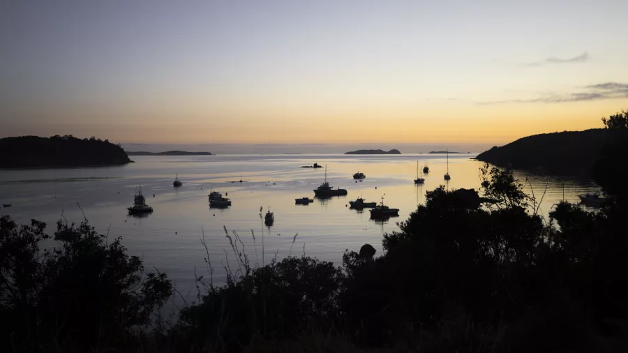 Scenic coastal view at sunrise or sunset on Rakiura Stewart Island, featuring calm water reflecting the colorful sky, anchored boats, and silhouettes of trees and bushes.