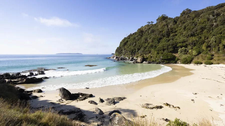 Secluded beach with clear turquoise water and rocky shoreline surrounded by lush greenery in Stewart Island.