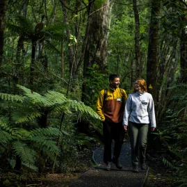 A couple walks through a lush forest trail surrounded by ferns and native bush on Ulva Island.