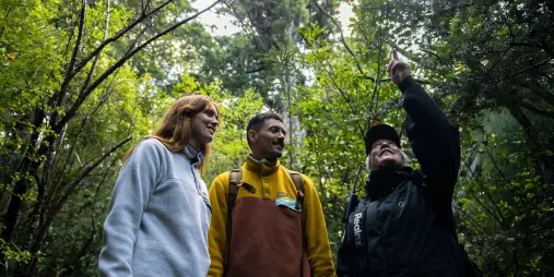 Tour guide pointing out native species to visitors during a guided forest walk on Ulva Island.