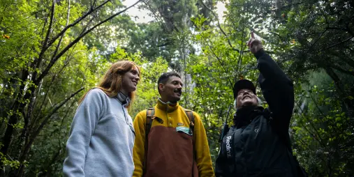 Ulva island guided walk stewart island