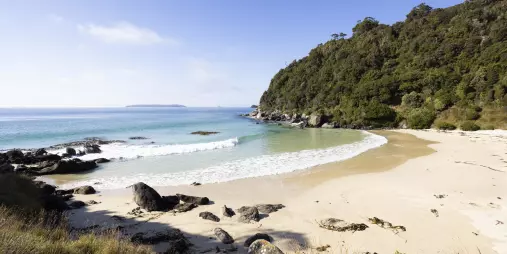 A quiet, sunny beach with turquoise waters and forested cliffs on Rakiura Stewart Island.