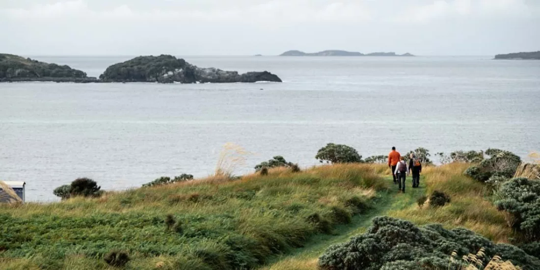 Guided group walking along a coastal trail at Oneke, also known as The Neck, Stewart Island