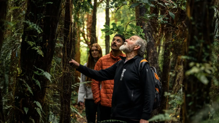 Local guide explaining native flora in the forest at Oneke during the Stewart Island Wilderness Walk