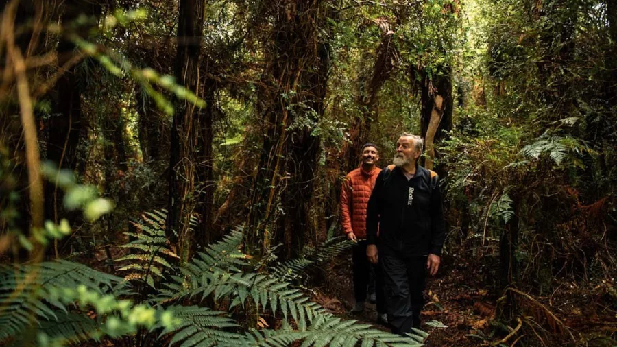 Guide leading a small group through native forest on the Stewart Island Wilderness Walk