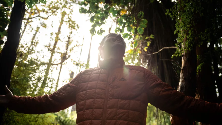 Walker soaking up the atmosphere in native forest on the Stewart Island Wilderness Walk at The Neck