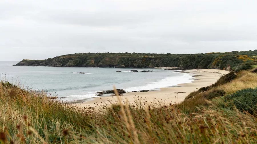 View of a remote, empty bay at Oneke, Stewart Island, surrounded by coastal bush