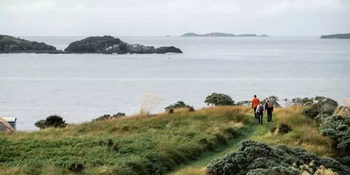 Guided group walking along a coastal trail at Oneke, also known as The Neck, Stewart Island