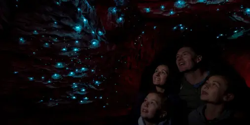 Te anau glowworm caves family watching glowworms
