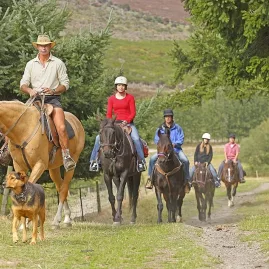 Horse trekking group led by a guide and dog along a country trail at Walter Peak Station, Queenstown, New Zealand