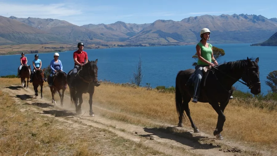 Horse trekking group riding along Lake Wakatipu near Walter Peak Station in Queenstown, New Zealand