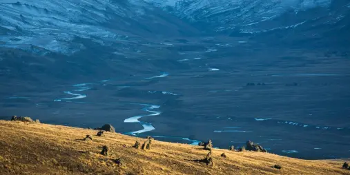 Golden tussock hills and winding river through Maniototo Valley during winter