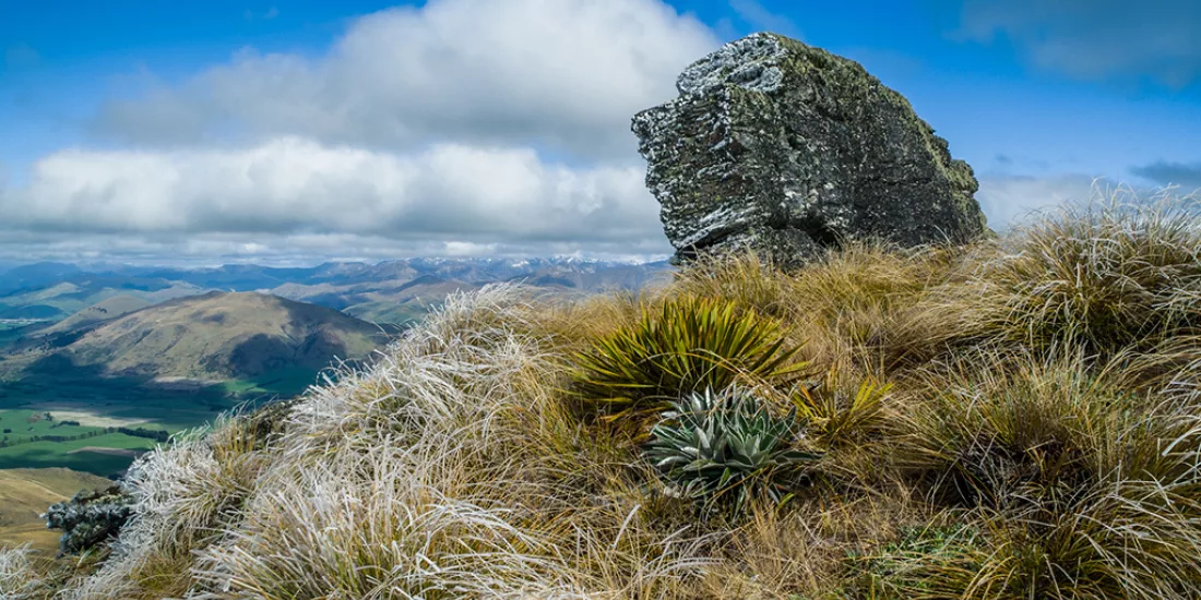 Rocky outcrop above Queenstown surrounded by alpine tussock with distant mountain views