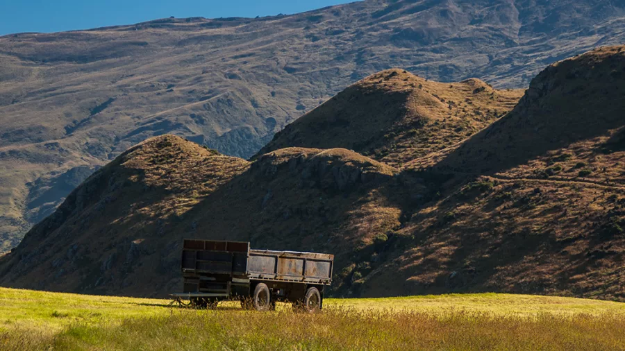 Old wooden wagon resting in a golden paddock beneath the Wanaka hills