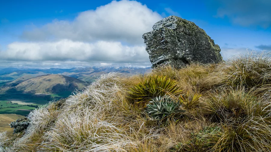 Rocky outcrop above Queenstown surrounded by alpine tussock with distant mountain views