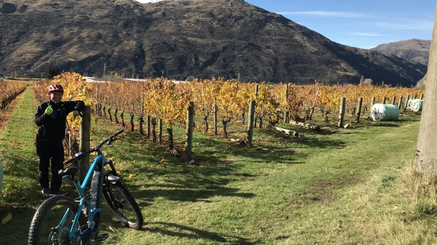 E-bike parked near vineyard rows with autumn foliage in Gibbston