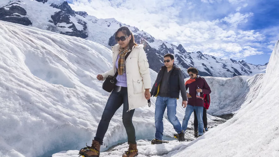 Group walking through an icy crevasse with crampons on a Tasman Glacier helihike
