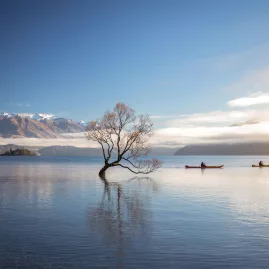 Kayakers passing by That Wānaka Tree on Lake Wānaka in Otago