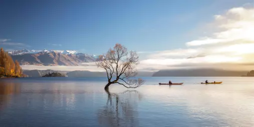 Kayakers passing by That Wānaka Tree on Lake Wānaka in Otago