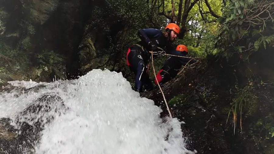 Canyoner halfway down a gushing waterfall surrounded by dense native bush on the Intermediate Tour.