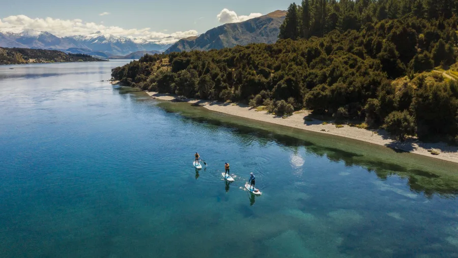 Paddle boarders gliding on calm waters near the Lake Wanaka shoreline
