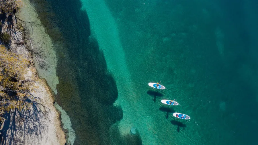 Paddle boarders exploring near the outlet of Lake Wanaka