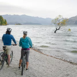 Cyclists looking at the Wanaka Tree on the lakefront