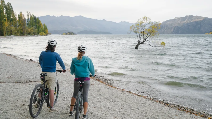 Cyclists looking at the Wanaka Tree on the lakefront
