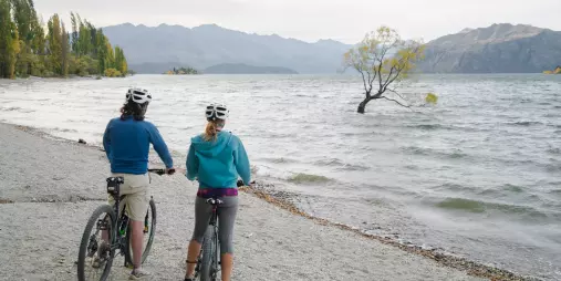 Cyclists looking at the Wanaka Tree on the lakefront