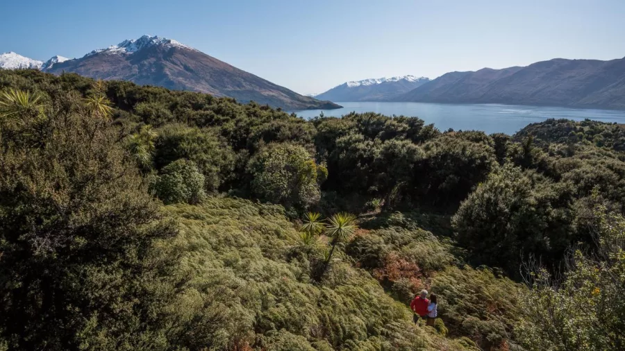Forest trail and Lake Wānaka view on Mou Waho Island