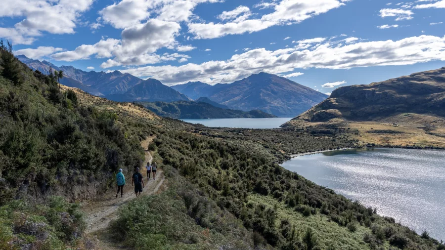 People walking scenic trail beside Lake Wānaka
