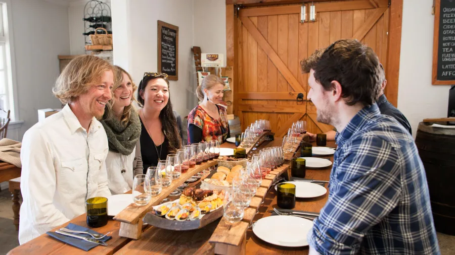 A group of guests enjoying wine tasting and a gourmet platter at a boutique winery near Wanaka.
