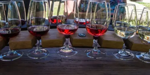 Wine tastings at boutique vineyards on the Quintessential Wanaka Wine Tour