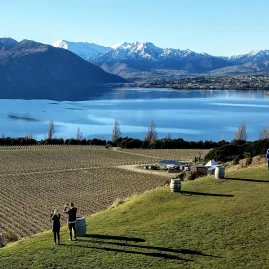 Rippon vineyard overlooking Lake Wanaka with snow-capped mountains in the background.
