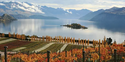 Vibrant autumn colours in the vineyard at Rippon overlooking Lake Wanaka.