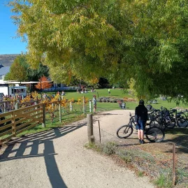 Cyclist arriving at Carrick Winery on the Lake Dunstan Trail in Bannockburn.