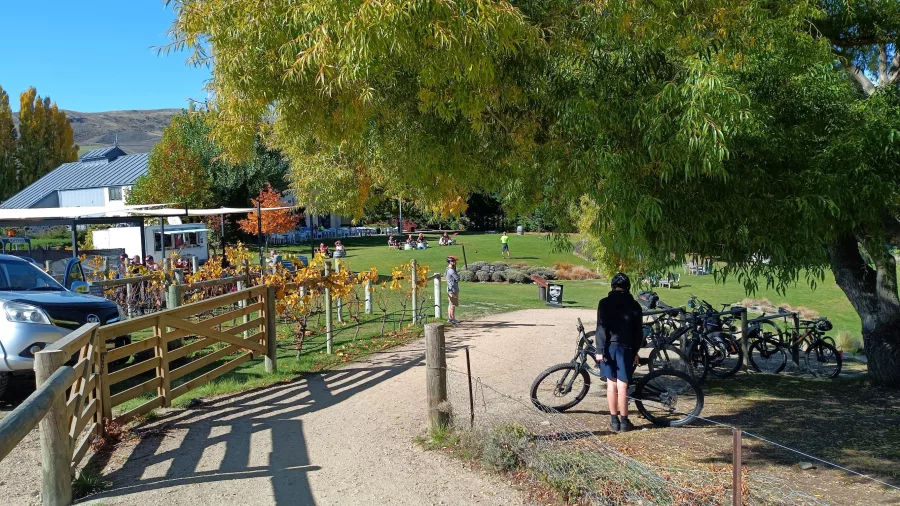 Cyclist arriving at Carrick Winery on the Lake Dunstan Trail in Bannockburn.