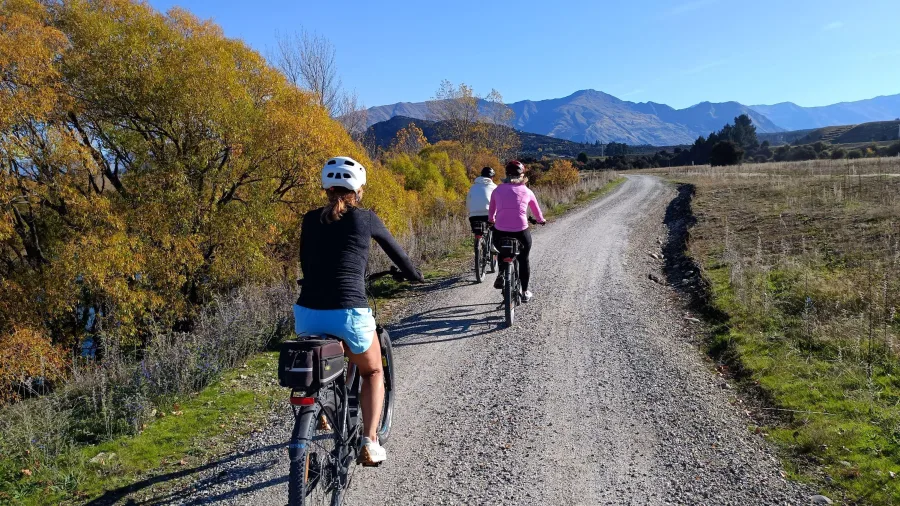 Cyclists riding along the Hawea River Trail surrounded by golden autumn trees.