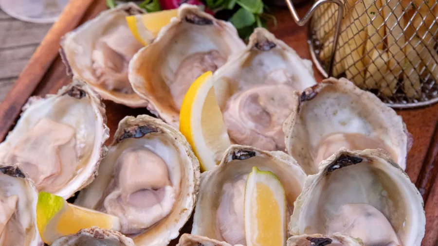 Fresh Bluff oysters served with lemon wedges and fries in Southland, New Zealand