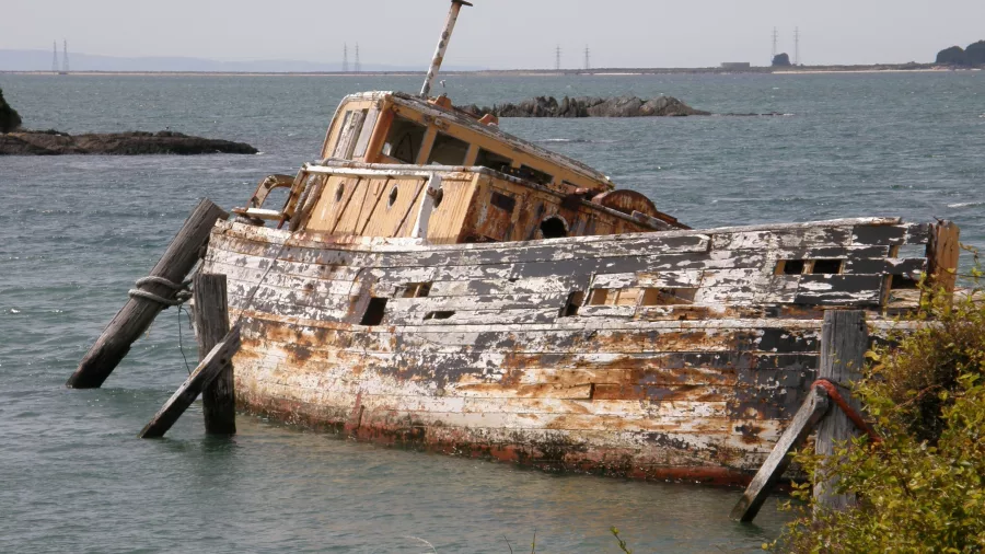 Close-up of decaying wooden shipwreck in Bluff’s Greenpoint Walkway