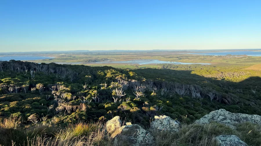 Panoramic view from lookout at Omaui Scenic Reserve in Southland