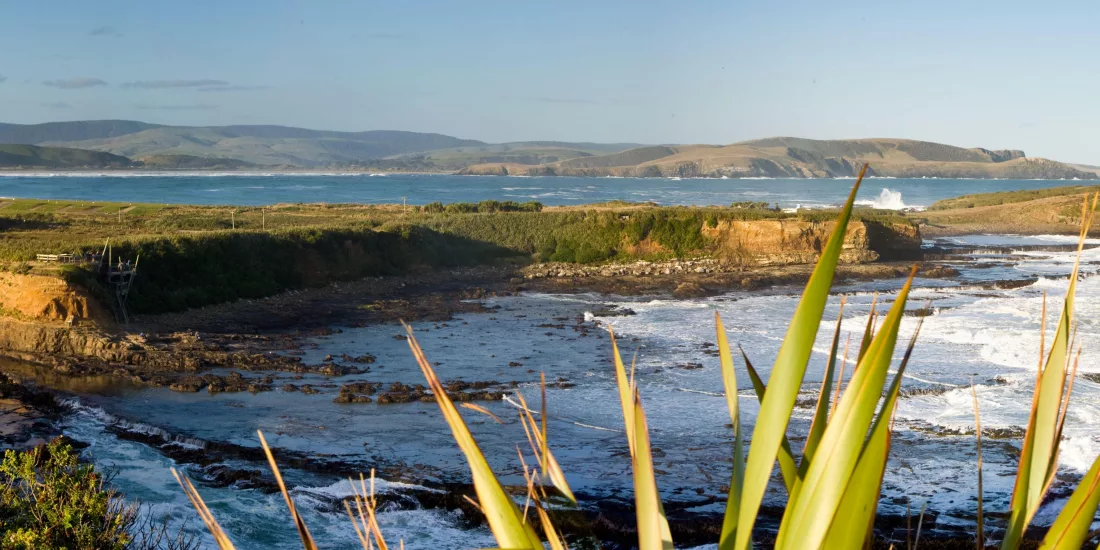 Panoramic coastal view of Curio Bay in the Catlins region of Southland, New Zealand, with rugged cliffs, native vegetation and waves crashing on the shore
