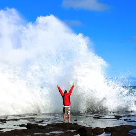 Person in red jacket raising arms as a massive wave crashes onto the rocky shoreline at Curio Bay in the Catlins, Southland, New Zealand
