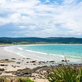 Curio Bay beach with turquoise waters in The Catlins, Southland, New Zealand