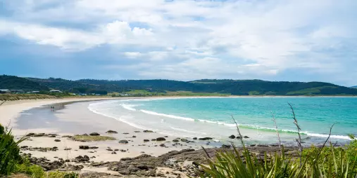 Curio Bay beach with turquoise waters in The Catlins, Southland, New Zealand