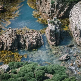 Rugged rocky shore at Nugget Point in the Catlins