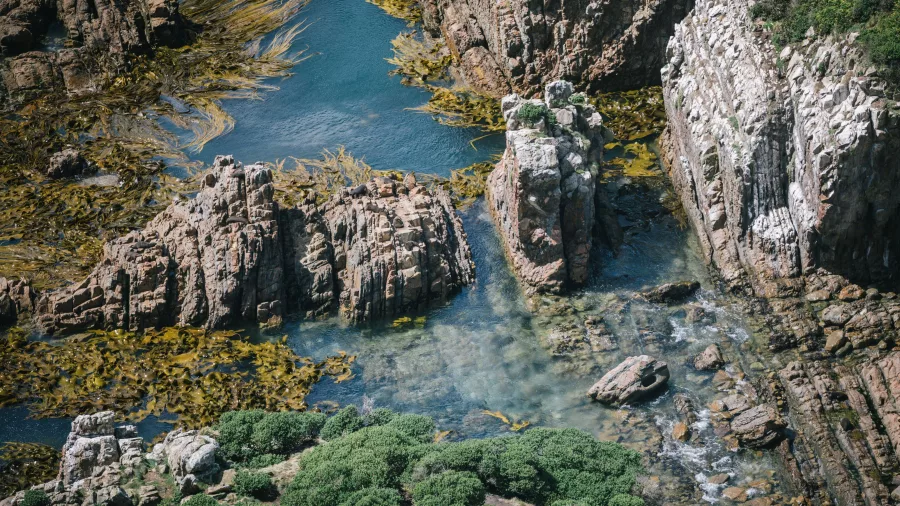 Rugged rocky shore at Nugget Point in the Catlins