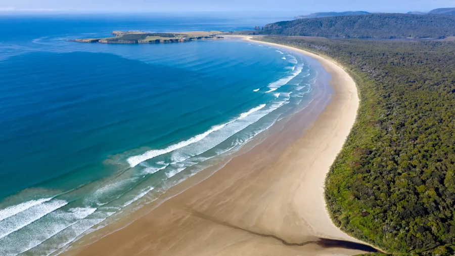Panoramic view from Florence Hill Lookout near Papatowai