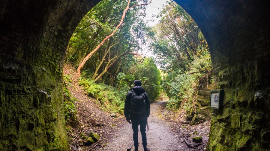 Tunnel Hill walkway in The Catlins, Southland New Zealand