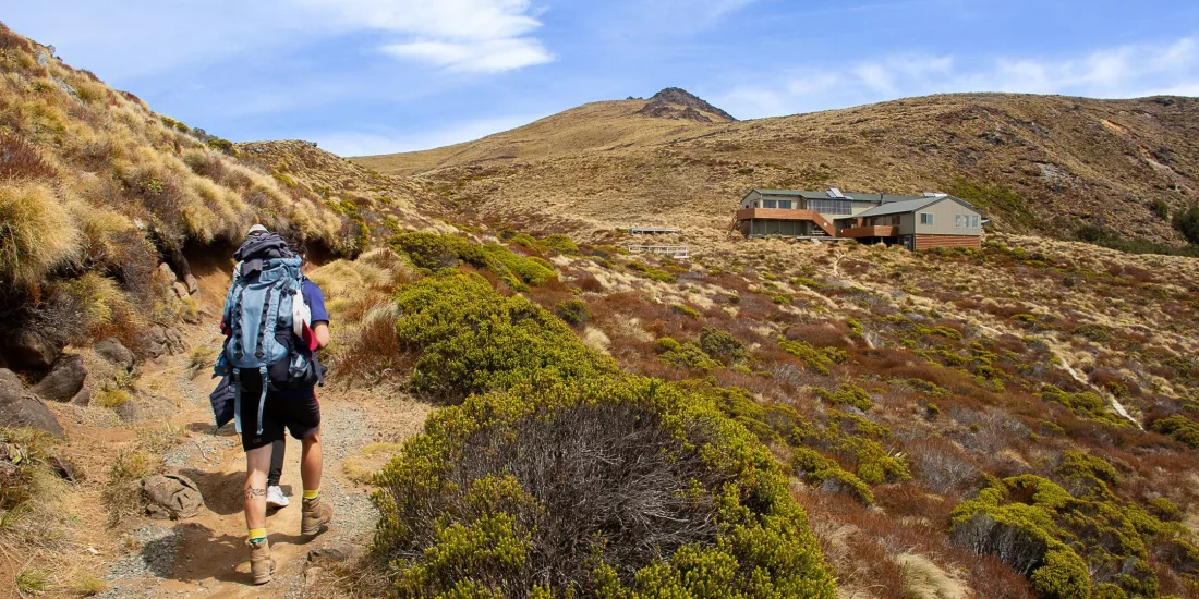 Tramper approaching Luxmore Hut on the Kepler Track